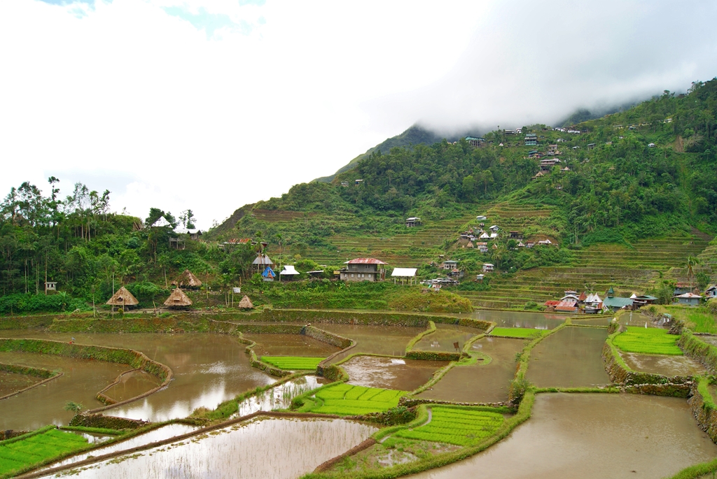 Terrazas de arroz de Banaue