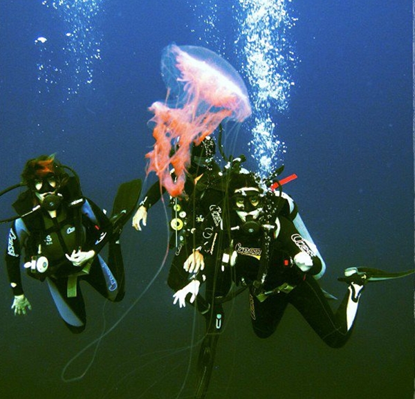 Buceo en Malapascua