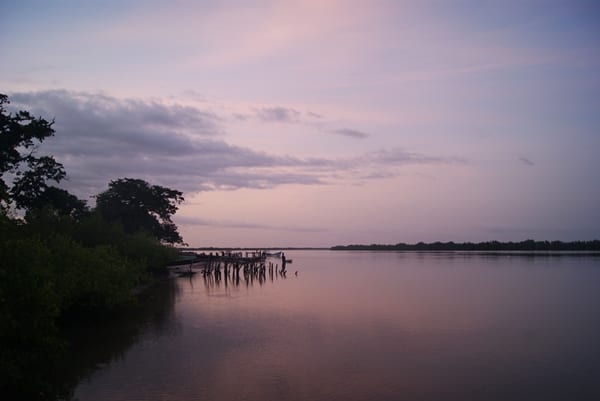 Bintang Bolong Lodge, Gambia