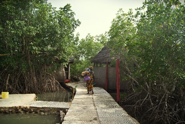 Bintang Bolong Lodge, Gambia