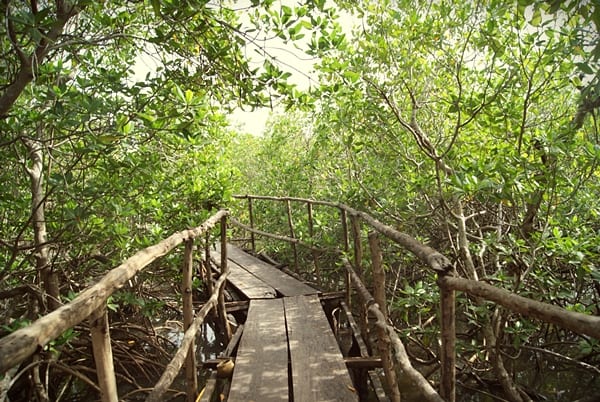 Bintang Bolong Lodge, Gambia