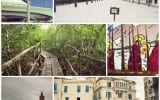 collage