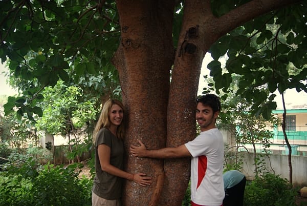 Freedom Tree Memorial, gambia