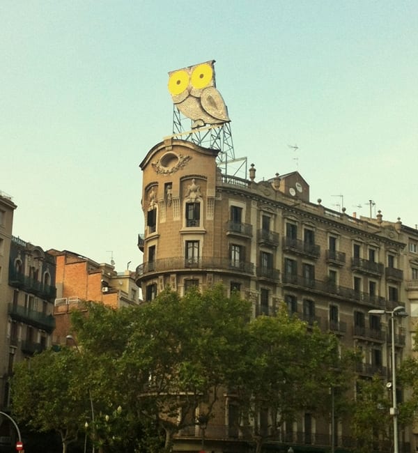 Búho, Barcelona