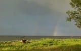 Arco iris, Senegal