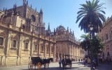 catedral de Sevilla