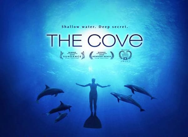 The Cove