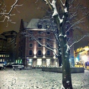 Bruselas nevado