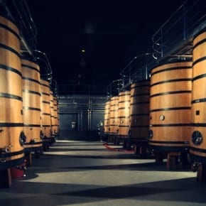 Bodegas Martínez Lacuesta, Haro