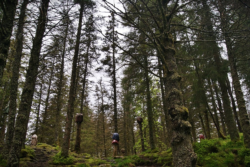 Bosque de los trolls, Floyen, Noruega