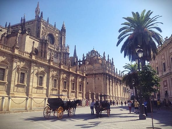 catedral de Sevilla