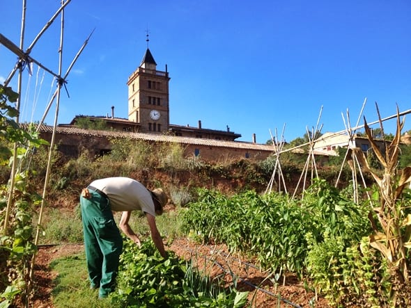 L´Ortiga, Collserola